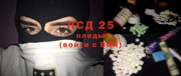 крисы Аркадак