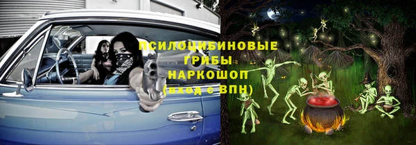 крисы Аркадак